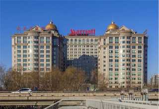 肝类器官芯片行业动态