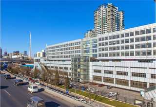 合肥覆膜建筑木模板交易价格